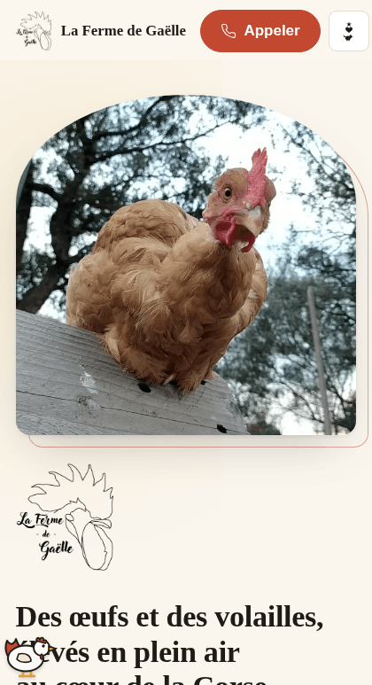 Le site La Ferme de Gaëlle sur téléphone
